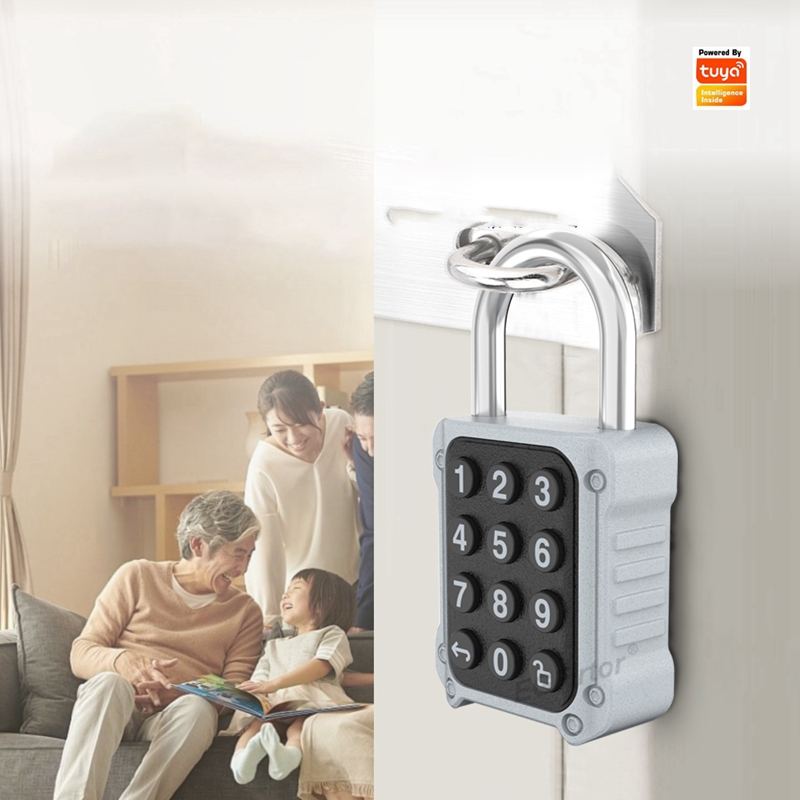 EGFirtor Tuya APP Elektronik A - Lockbox Key Secure incelemesi ve fiyatı